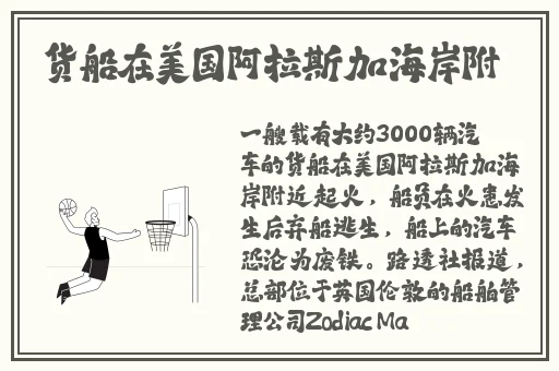 国产欧洲野花视频WWW